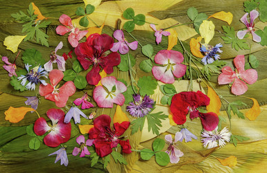 Similar image 21046888