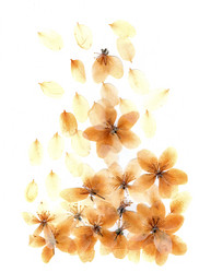 Similar image 21046893