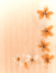 Similar image 21046895