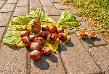 Similar image 21029810