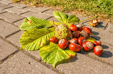 Similar image 21029811