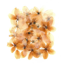 Similar image 21047138