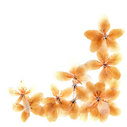 Similar image 21047140