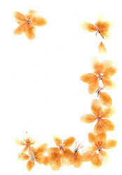 Similar image 21047142