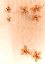 Similar image 21047148