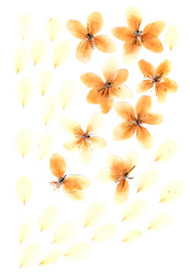 Similar image 21047149