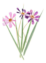 Similar image 21047152