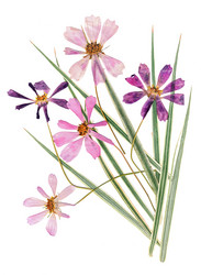 Similar image 21047154