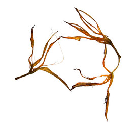 Similar image 21047246