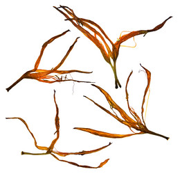 Similar image 21047248