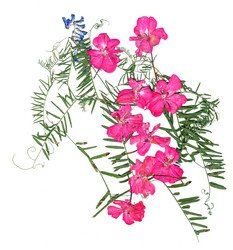 Similar image 21047249