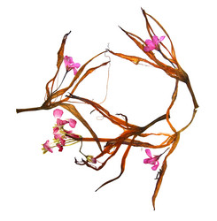 Similar image 21047250