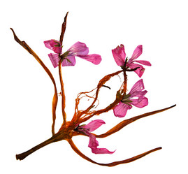 Similar image 21047345