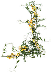 Similar image 21047346