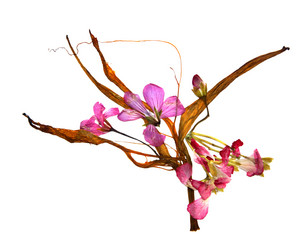 Similar image 21047348