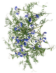 Similar image 21047349