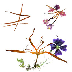 Similar image 21047352