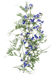 Similar image 21047354