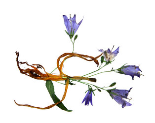 Similar image 21047355