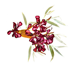 Similar image 21047357