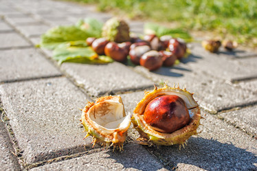 Similar image 21029871