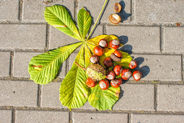 Similar image 21029872