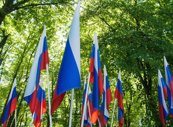 Similar image 21029708