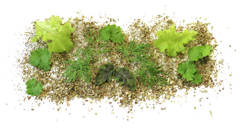 Similar image 21046831