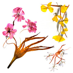 Similar image 21042896