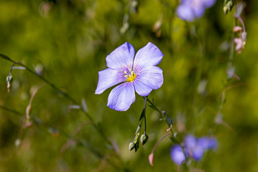 Similar image 21041579