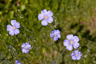 Similar image 21041580