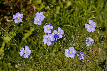 Similar image 21041581