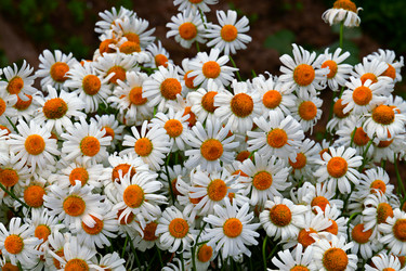 Similar image 21041586