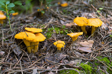 Similar image 21041587