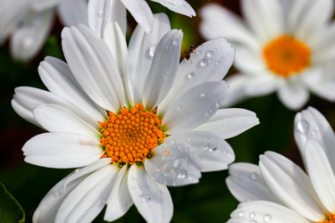 Similar image 21041588