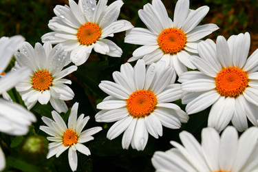 Similar image 21041589