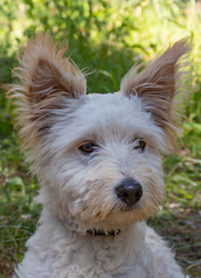 Similar image 21041592