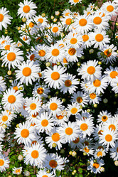 Similar image 21041594