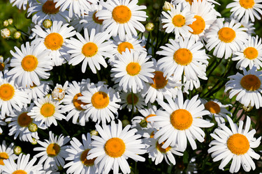 Similar image 21041836