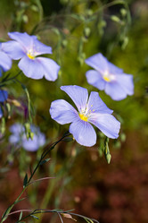 Similar image 21041838