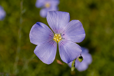 Similar image 21041839