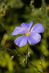 Similar image 21041840