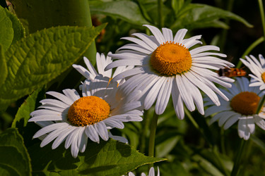 Similar image 21041841