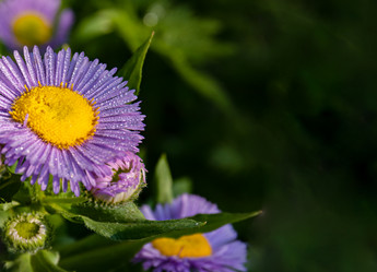 Similar image 21041842