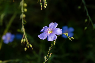 Similar image 21041843