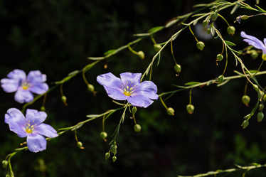 Similar image 21041845