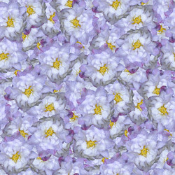 Similar image 21041846