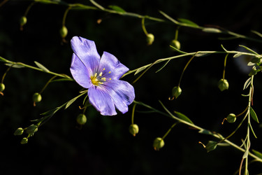 Similar image 21041847