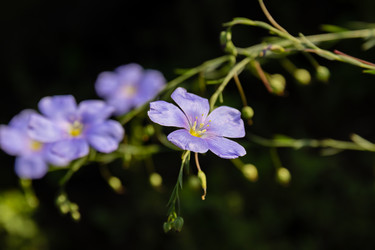 Similar image 21041848