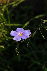 Similar image 21041849